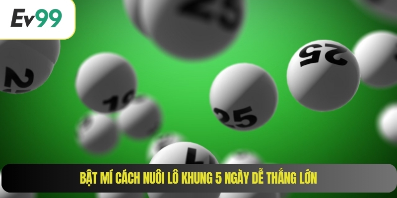 Bật mí cách nuôi lô khung 5 ngày dễ thắng lớn