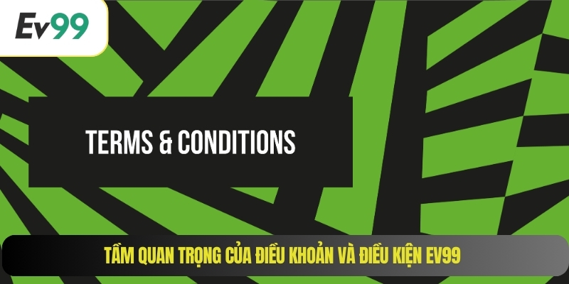 Tầm quan trọng của điều khoản và điều kiện EV99