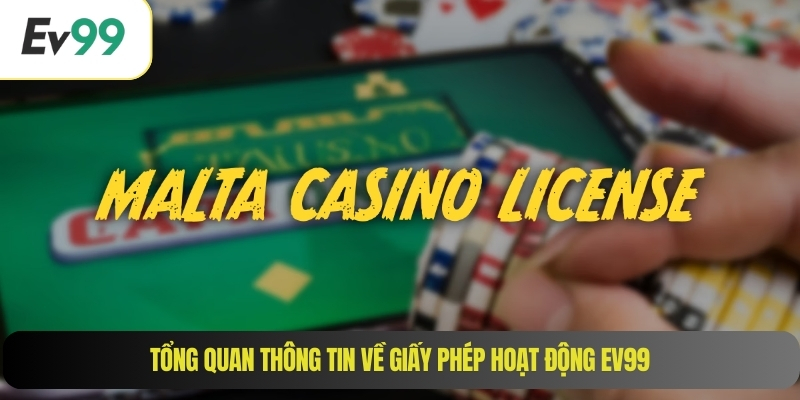 Tổng quan thông tin về giấy phép hoạt động EV99